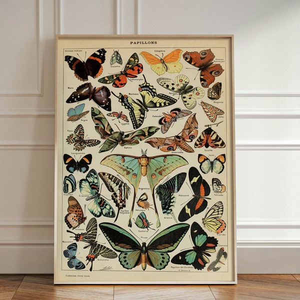 Vintage Butterfly Print, Adolphe Millot Poster, Papillon Wall Art, Retro Butterfly Decor, Retro Collection Illustration, Idea Gift