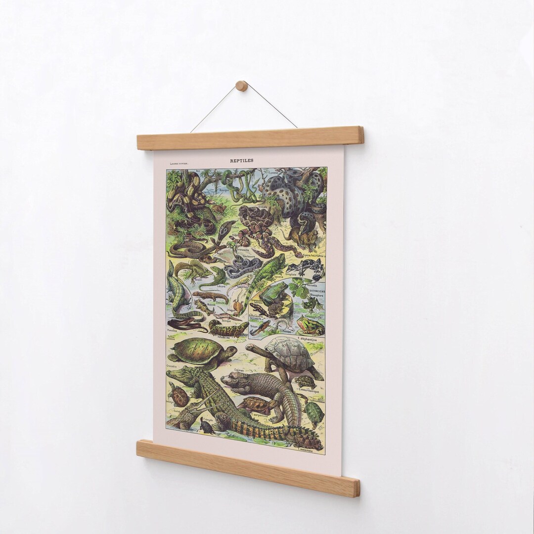 Rifle Paper Co. Amphibian Studies Print