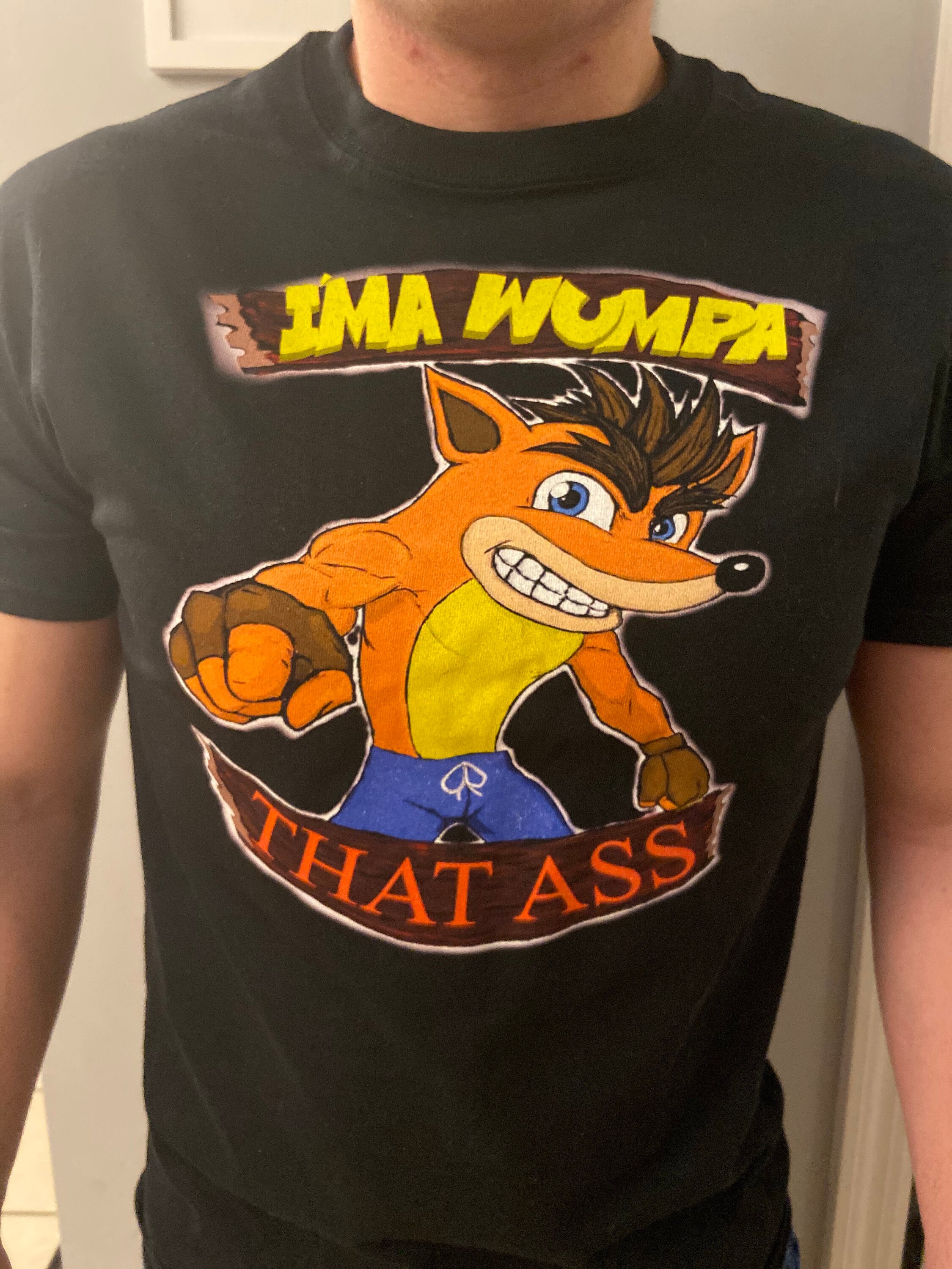 Crash Bandicoot Graphic Tshirt Unisex Size Etsy