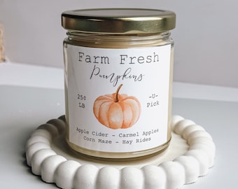 Farm Fresh Pumpkins Scented Soy Candle | Autumnal Home Decor | Fall Housewarming Gift | Farmhouse Decor | 8 oz Soy Candle | Choose Scent
