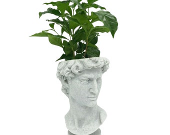 David Planter Michelangelo, Plant Vase, Pot for Plants, Bust Decor, Bust Of David, Art Bust, Michelangelo Bust 3D Printed