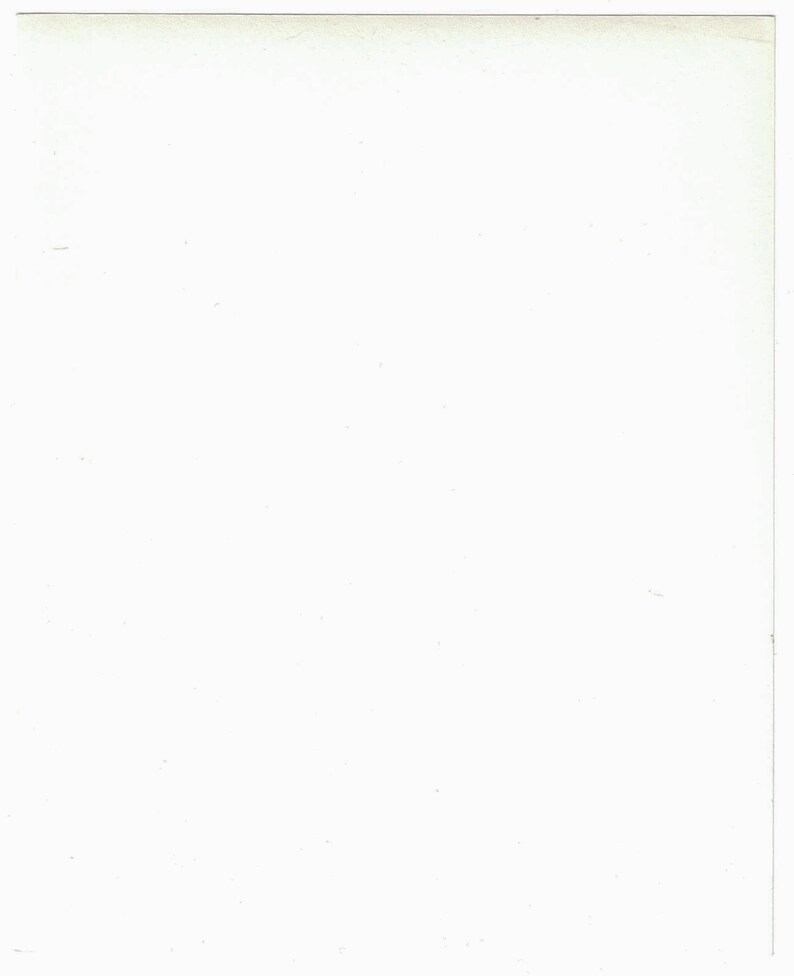 Bob Mizer 1960s Original Photograph Gelatin Silver Print Genuine AMG