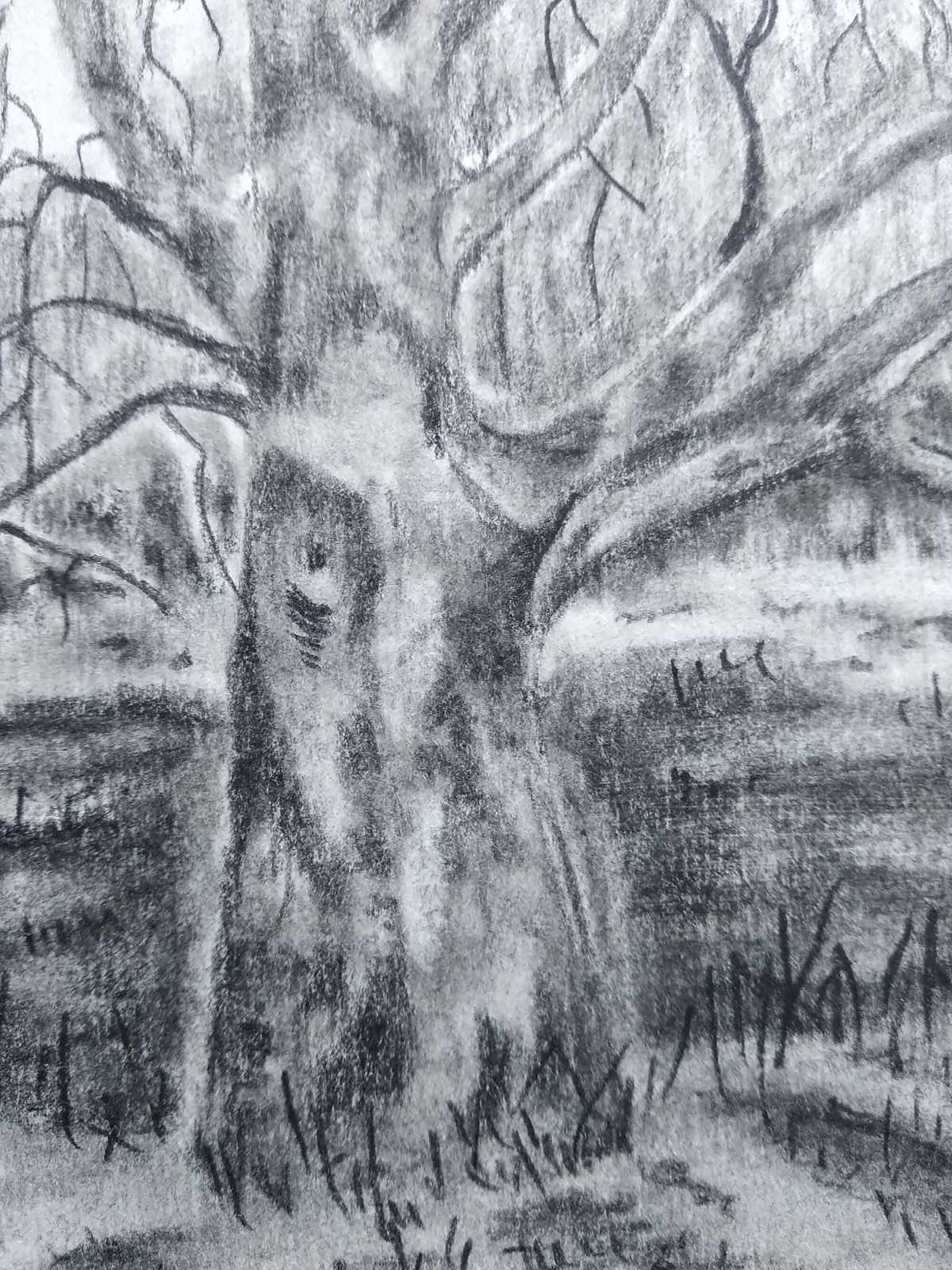 Tree Simple Pencil Painting National Park Drawing Landscape Etsy