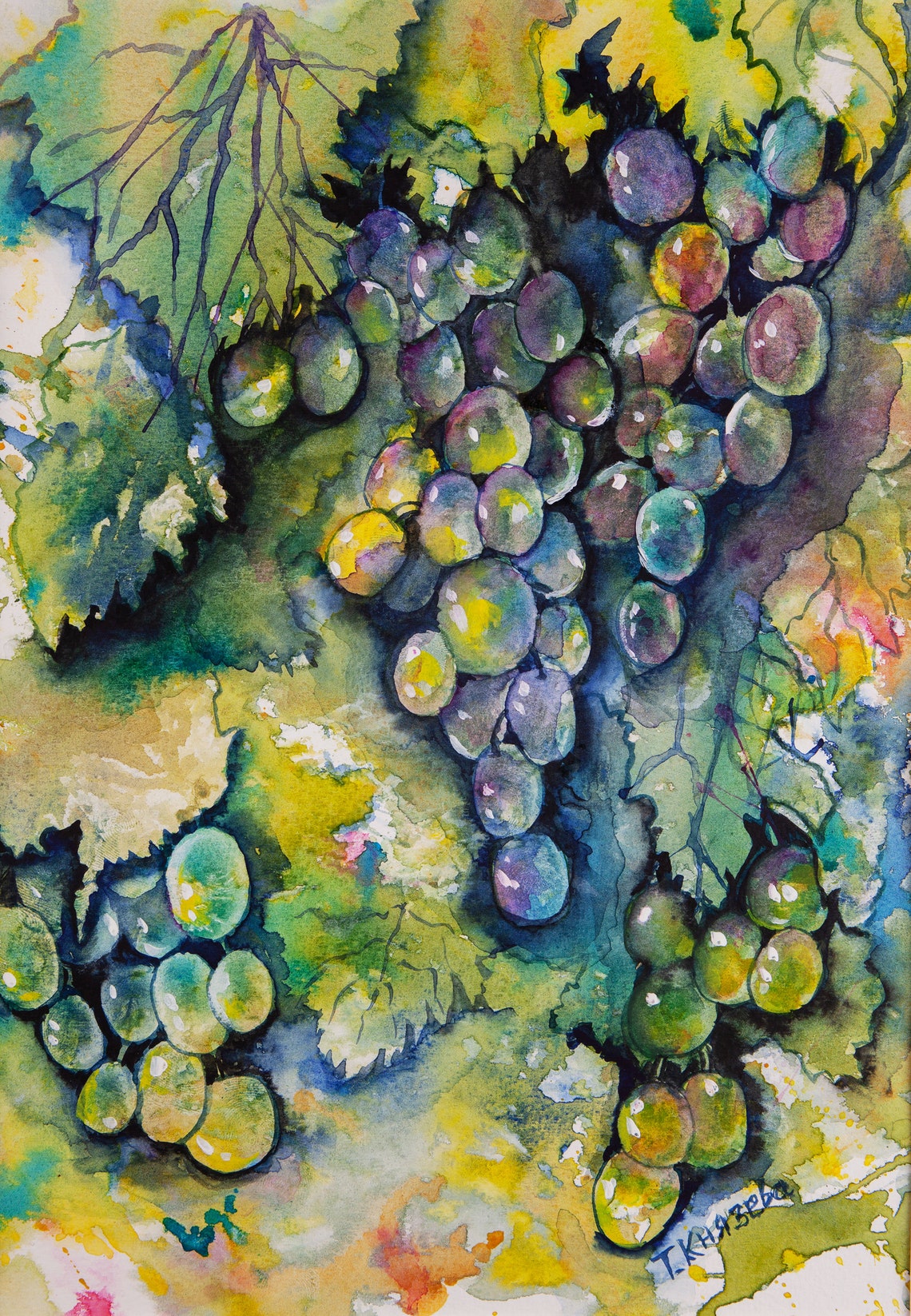 Grapes Watercolor Painting Sketch Original Wal Art Home Decor Etsy
