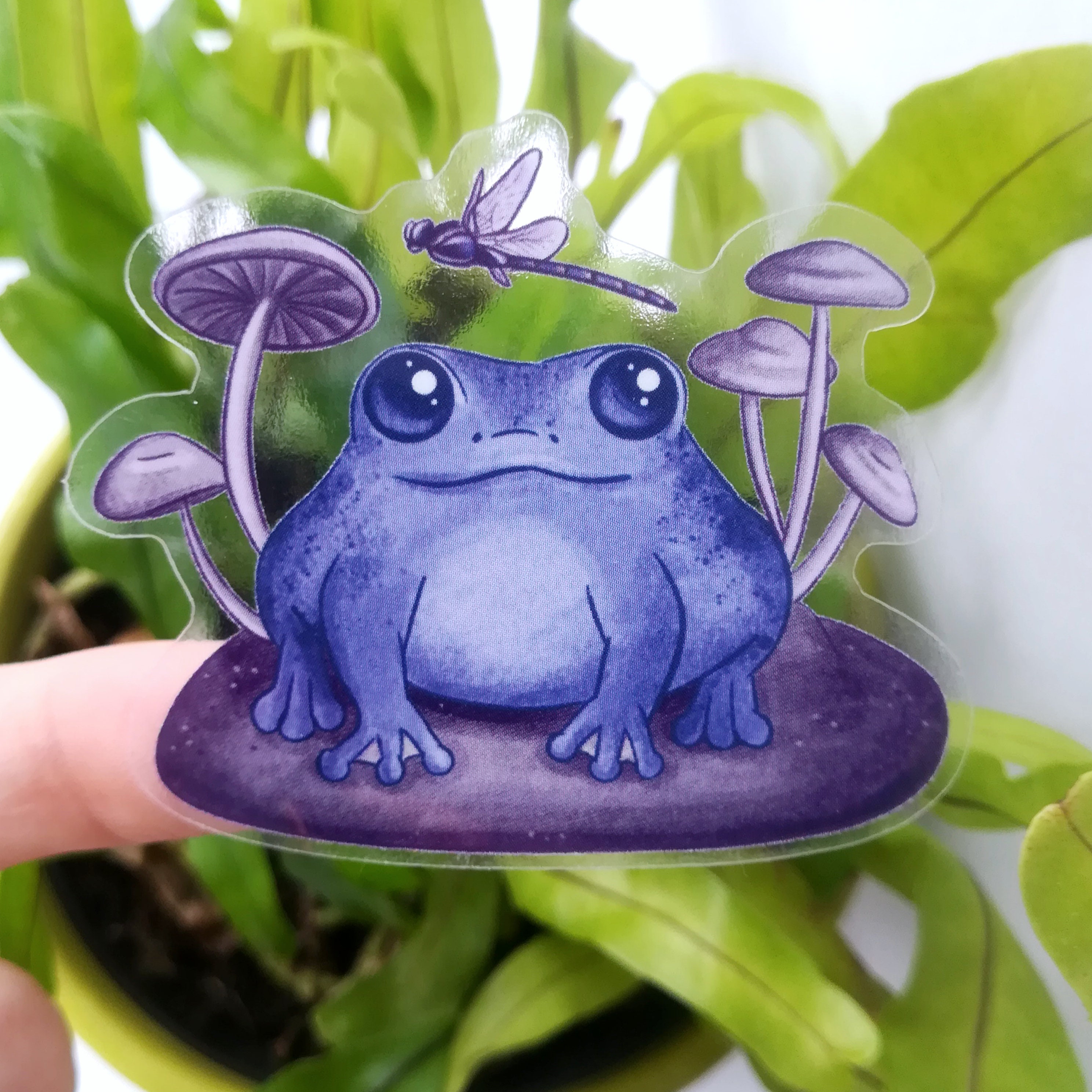 HAPPY FROG Vinyl Sticker Transparent Glossy Waterproof - Etsy
