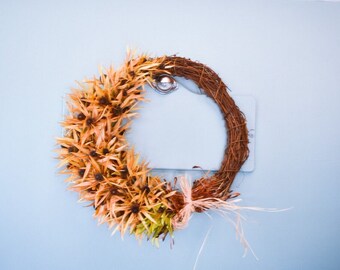 Dried leucadendron flowers wreath(One-off), door decor,wall decor, home decor, a special gift or for yourself. 30cm wreath.