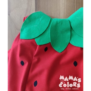 Strawberry Costume, Strawberry Inspired Jumper, Strawberry Unisex Suit for Halloween & Birthday