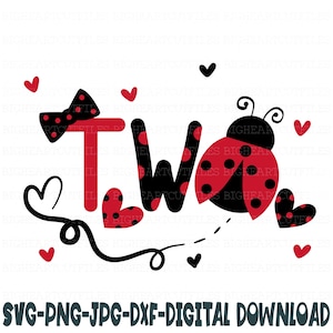 Ladybug 2nd Birthday Girl Svg, Png, Jpg, Dxf, Due Svg, Secondo compleanno Svg, Compleanno ragazza Svg, Ladybug Svg, Silhouette, Cricut, Sublimazione