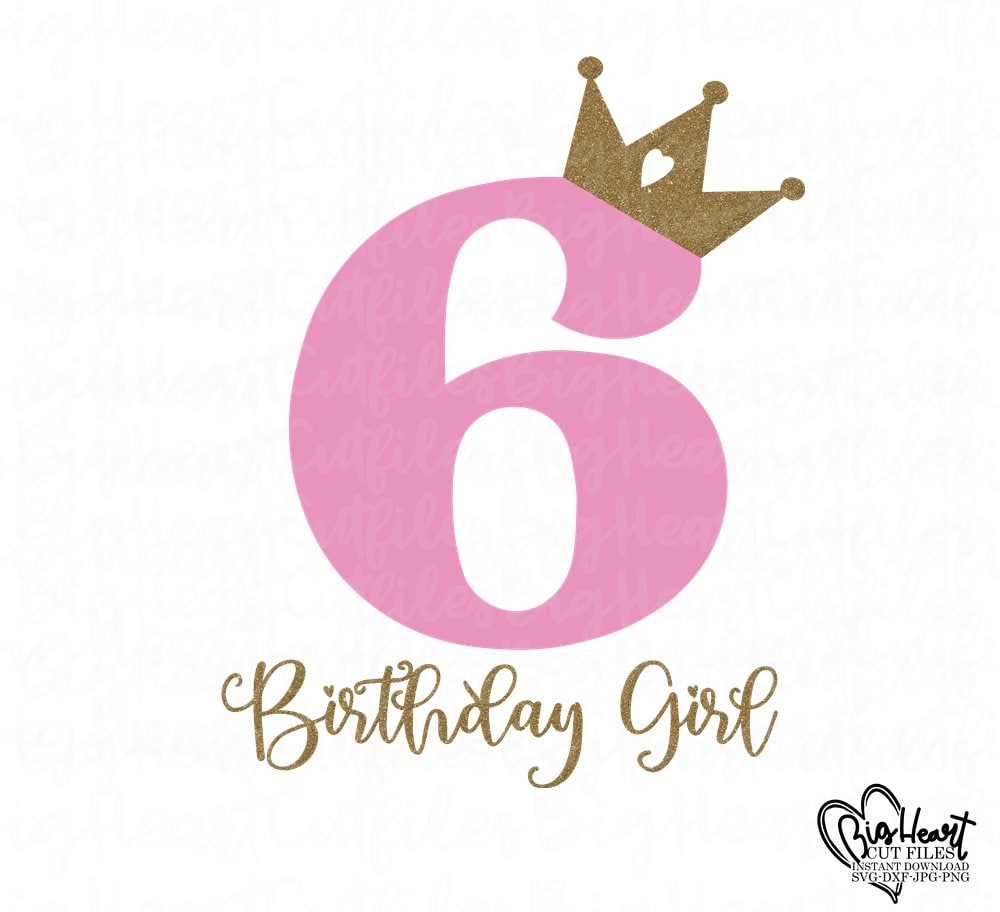 Birthday girl hotsell 6 year old
