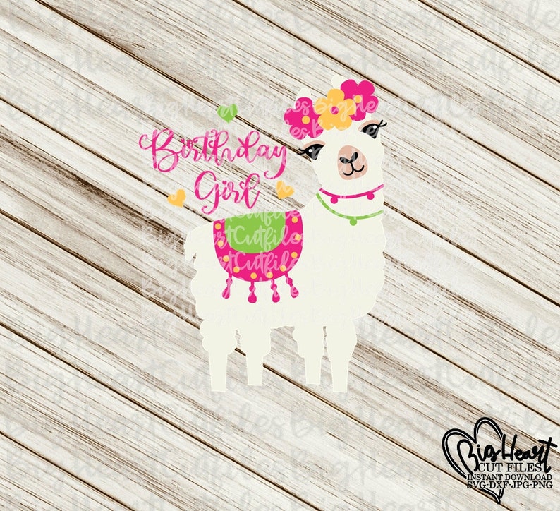 Alpaca Svg Llama Svg Llama Birthday Girl Svg PngJpgDxf | Etsy