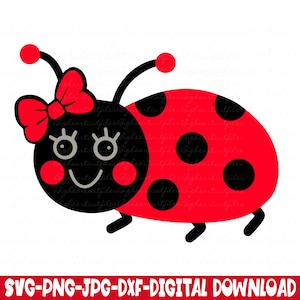 Coccinella carina Svg Png Jpg Dxf Coccinella Svg Silhouette e Cricut Cut File Download digitale