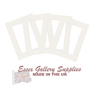 May include: Five white mat boards with rectangular openings. The mat boards are arranged in a fan shape. The text "Essex Gallery Supplies MADE IN THE UK" is printed in brown at the bottom of the image.
