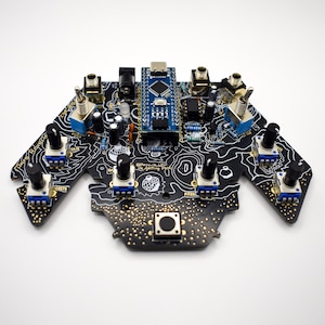 Mars Roveriser, Fully Built Experimental Synth, Particle Generator, Black and Gold, Open Circuit