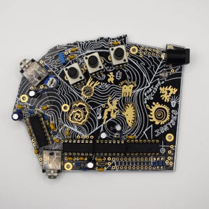 Fort Processor Noise Synth – Nero e Oro, Sintetizzatore FX, Completamente Costruito