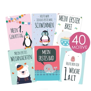 40 Baby Meilenstein-Karten für Jungen und Mädchen mit hochwertiger Verpackung von Cozy Racoon Geschenk zur Geburt, Babyparty,Schwangerschaft
