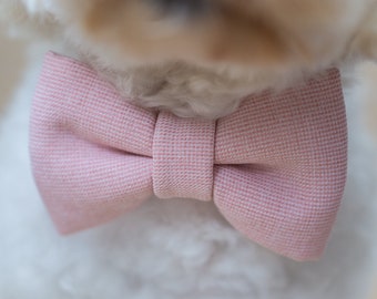 Hundeschleife Hundefliege Schleife Fliege Rosa Rosé Pink Hund