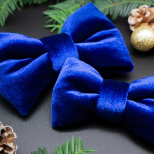 May include: Two blue velvet bow ties, one larger than the other, on a black background with pine branches and ornaments.