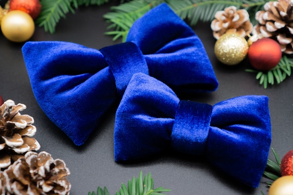 Weihnachtsschleife Hundeschleife Hundefliege Schleife Fliege Weihnachten Blau Samt Hund