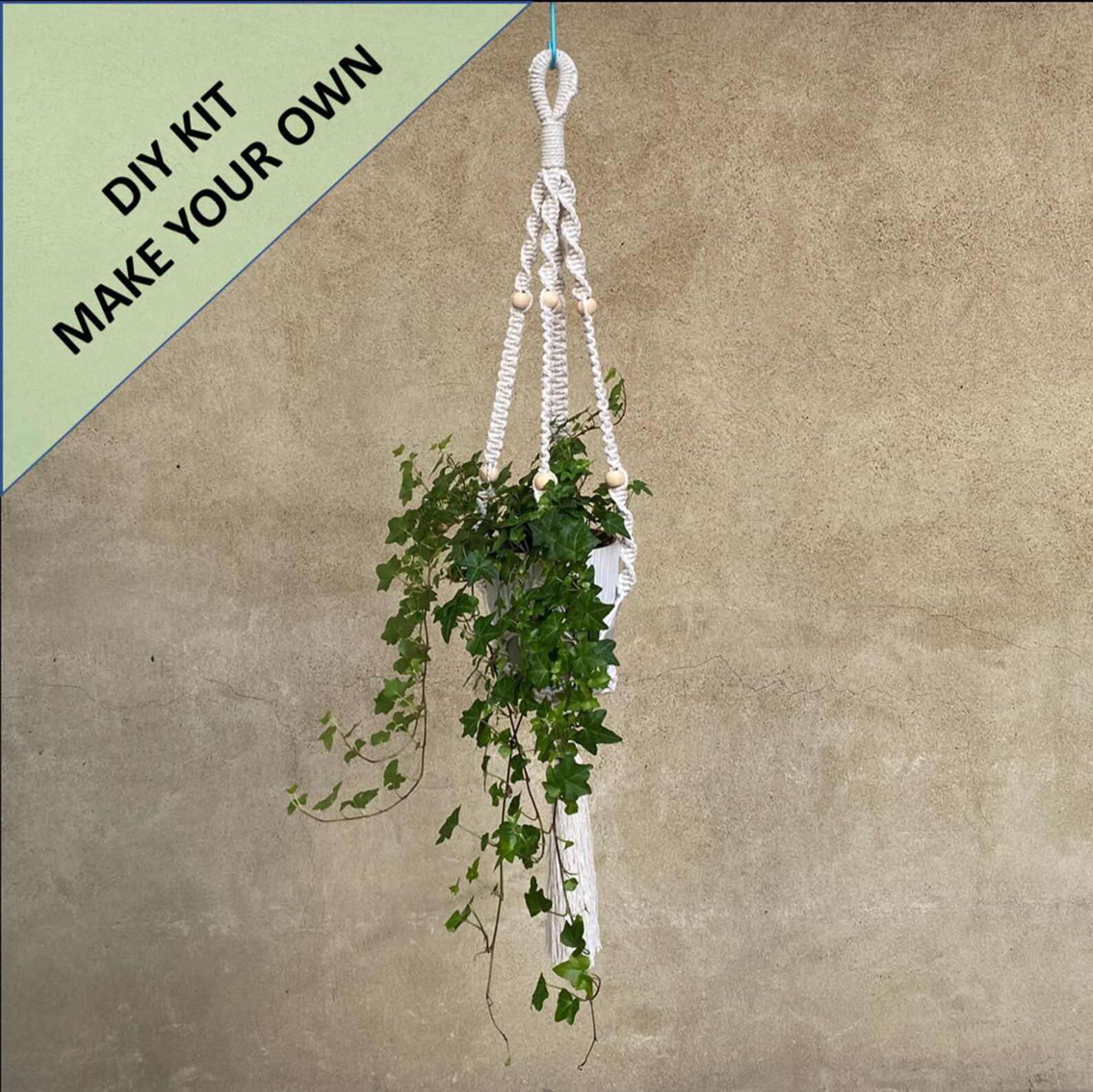 DIY Macrame Plant Hanger Kit. Everything You Need to Create Etsy