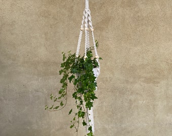 Classic macrame plant hanger, boho style, living room, fibre art