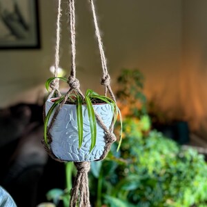 May include: A hanging plant pot with a textured, pale blue surface, filled with green plants. The pot is suspended by a brown macrame hanger. The background is blurred, with hints of other greenery and natural light.
