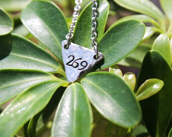 269 Tiny Triangle Necklace Vegan Necklace Animal Rights