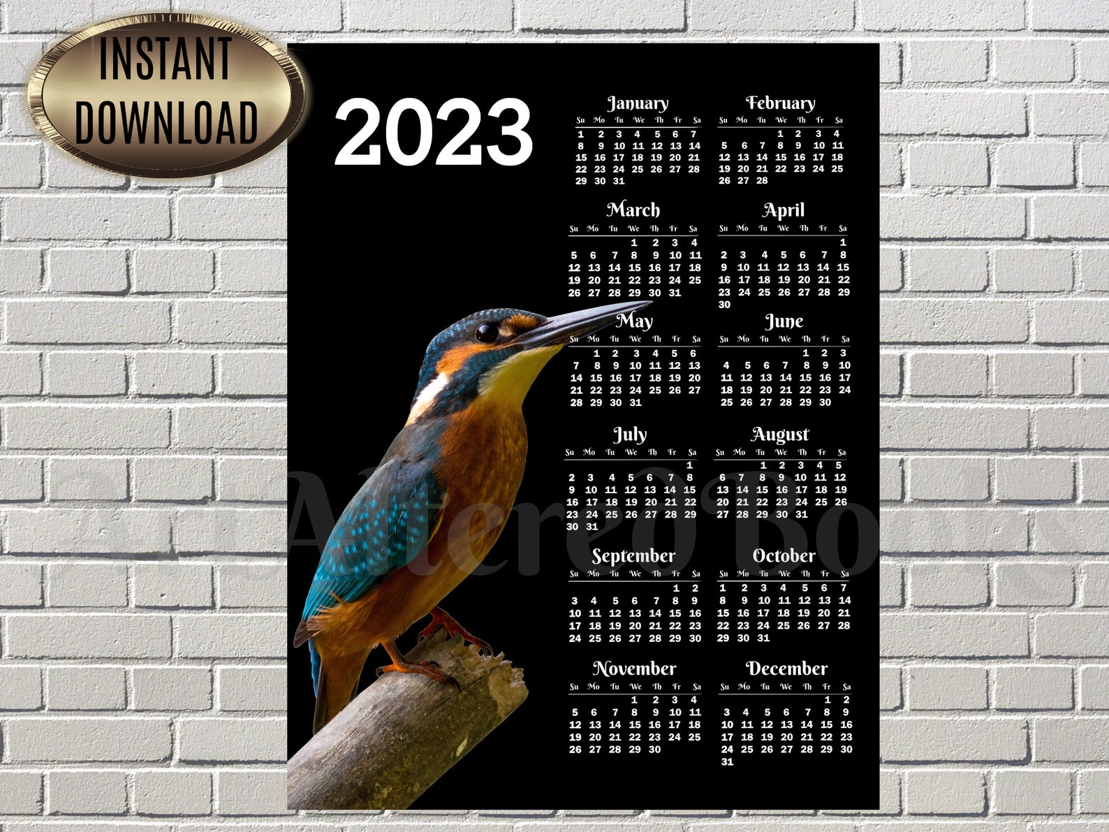 2023 Kingfisher Calendar Printable Wall Calendar One Page Etsy