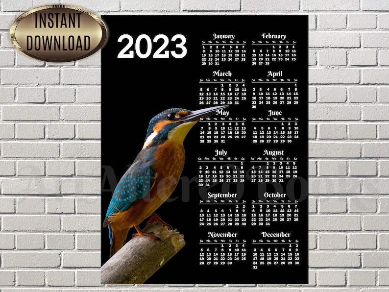 2023 Kingfisher Calendar Printable Wall Calendar One Page Etsy