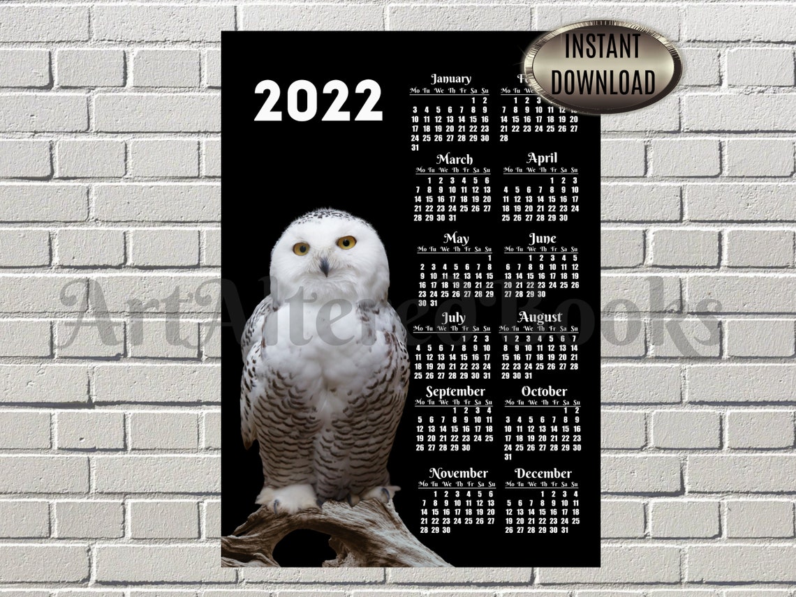 2022 Snowy Owl Printable Calendar One Page Wall Calendar Etsy