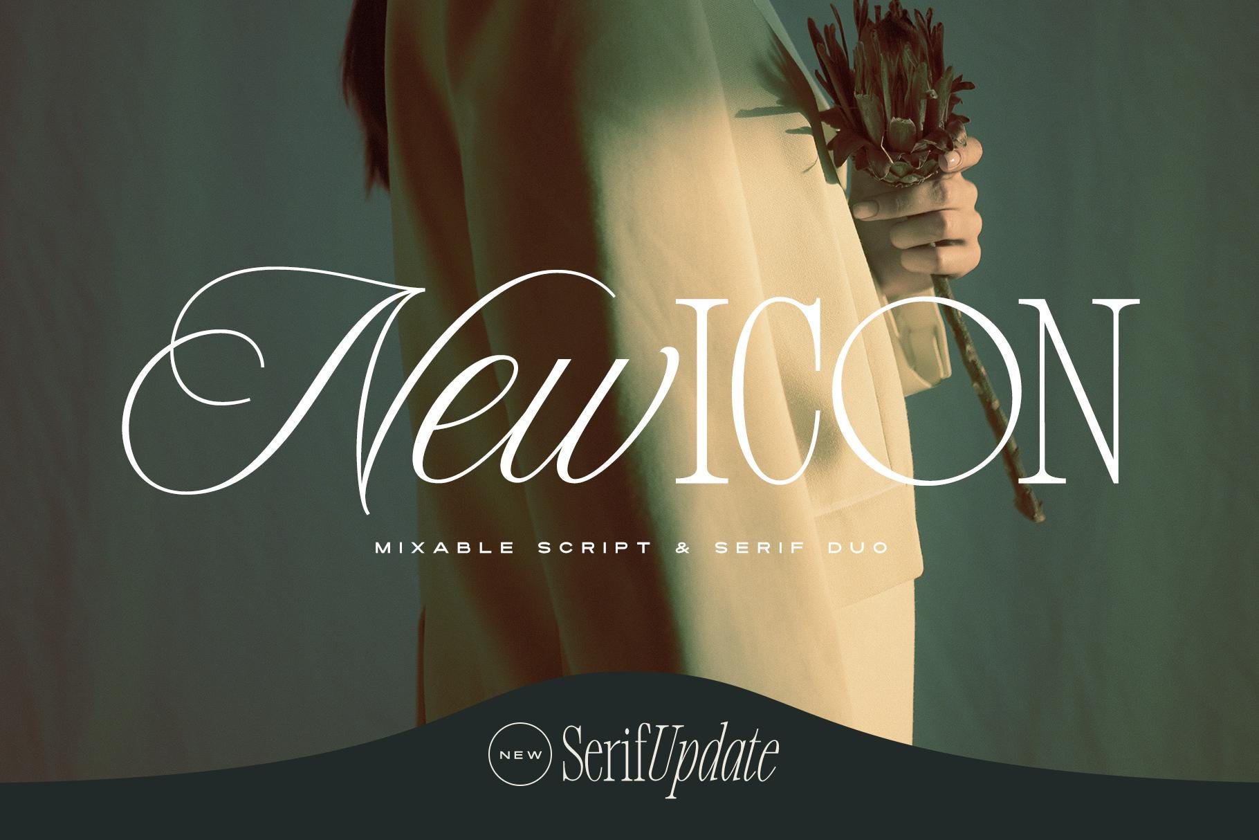New Icon Script and Serif Fonts - Luxury Premium Script and Retro Serif ...
