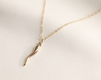 Gold Filled Italian Horn Necklace, Layering Necklace, Gold Necklace, Horn Necklace, Dainty Necklace, Italian Horn, Protection Necklace