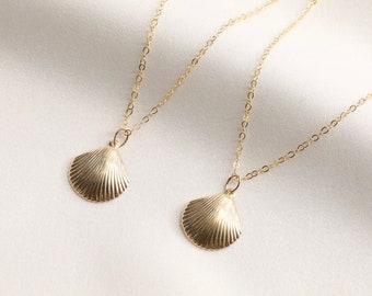 Gold Filled Shell Necklace: Dainty Beach Jewelry