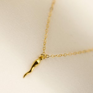 Dainty Gold Filled Lucky Italian Horn Necklace, Round Flat Layering Necklace, Puffy Horn Necklace, Dainty Necklace, Protection Necklace