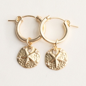 14k Gold Filed Sand Dollar Earrings, Gold Earrings, Starfish Earrings, Beach Earrings, Seashell Earrings, Beach jewelry, Drop Earrings Gift