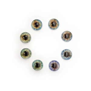 May include: Assortment of colourful plastic eyes with black pupils, arranged in a circle on a white background.