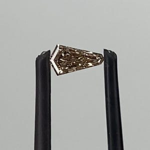 May include: A faceted, shield-shaped gemstone, held by black tweezers. The gem has a warm, brown hue and intricate internal patterns. The tweezers are positioned against a plain, light background, highlighting the gem's unique shape and color.
