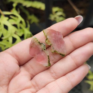 Butterfly Tourmaline Carving | Bicolor Watermelon Tourmaline Carved Butterfly | Natural Bi Tourmaline Butterfly Carved Gemstone | OMG0131