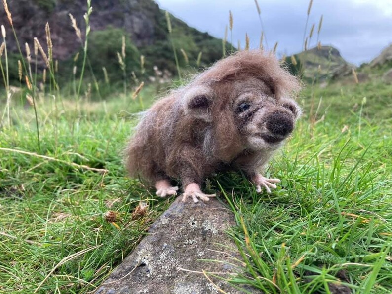 Enchanting Elusive Haggis Scottish Creature Collectable | Etsy