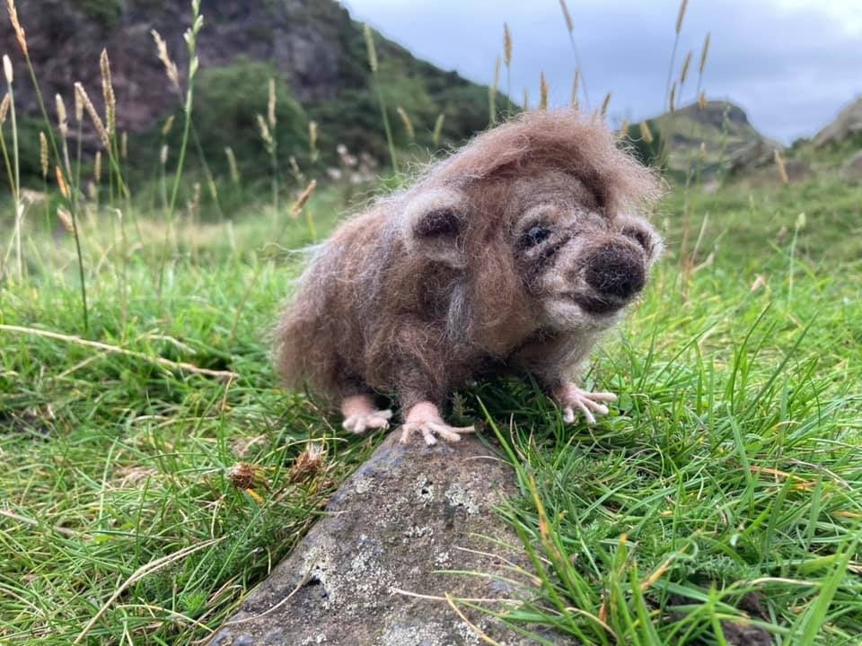 Enchanting Elusive Haggis Scottish Creature Collectable - Etsy Enchanting Elusive Haggis Scottish Creature Collectable - Etsy