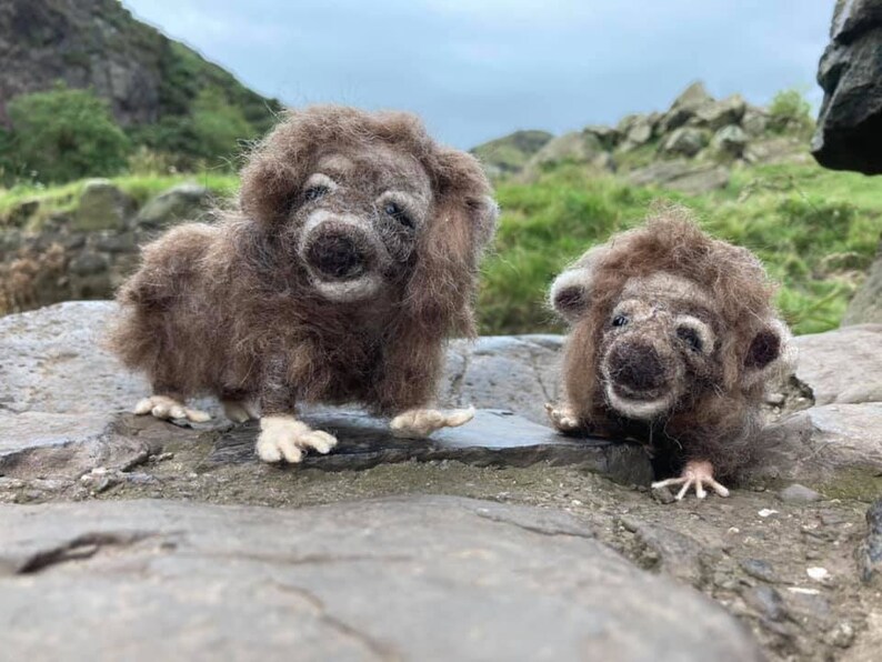 Enchanting Elusive Haggis Scottish Creature Collectable | Etsy