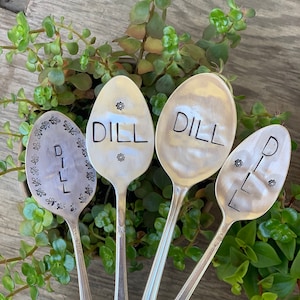 Pode incluir: Quatro colheres de prata com a palavra "DILL" gravada nelas. As colheres est&atilde;o dispostas em c&iacute;rculo e s&atilde;o cercadas por plantas verdes.
