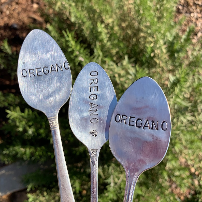 Pode incluir: Tr&ecirc;s colheres de prata com a palavra "OREGANO" gravada. As colheres s&atilde;o usadas como marcadores de jardim.