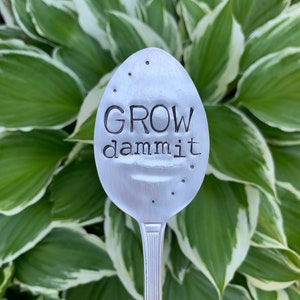 May include: A silver spoon with the words "GROW dammit" engraved on it. The spoon is in front of a green and white hosta plant.