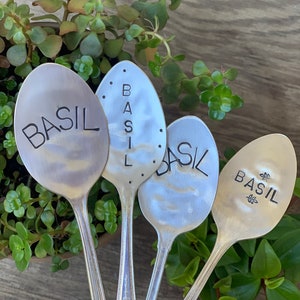 Pode incluir: Quatro colheres de prata com a palavra "BASIL" escrita nelas. As colheres s&atilde;o usadas como marcadores de plantas em um jardim.