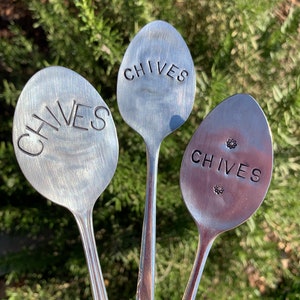 Pode incluir: Tr&ecirc;s colheres de prata com a palavra "CHIVES" gravada nelas. As colheres s&atilde;o usadas como marcadores de jardim.