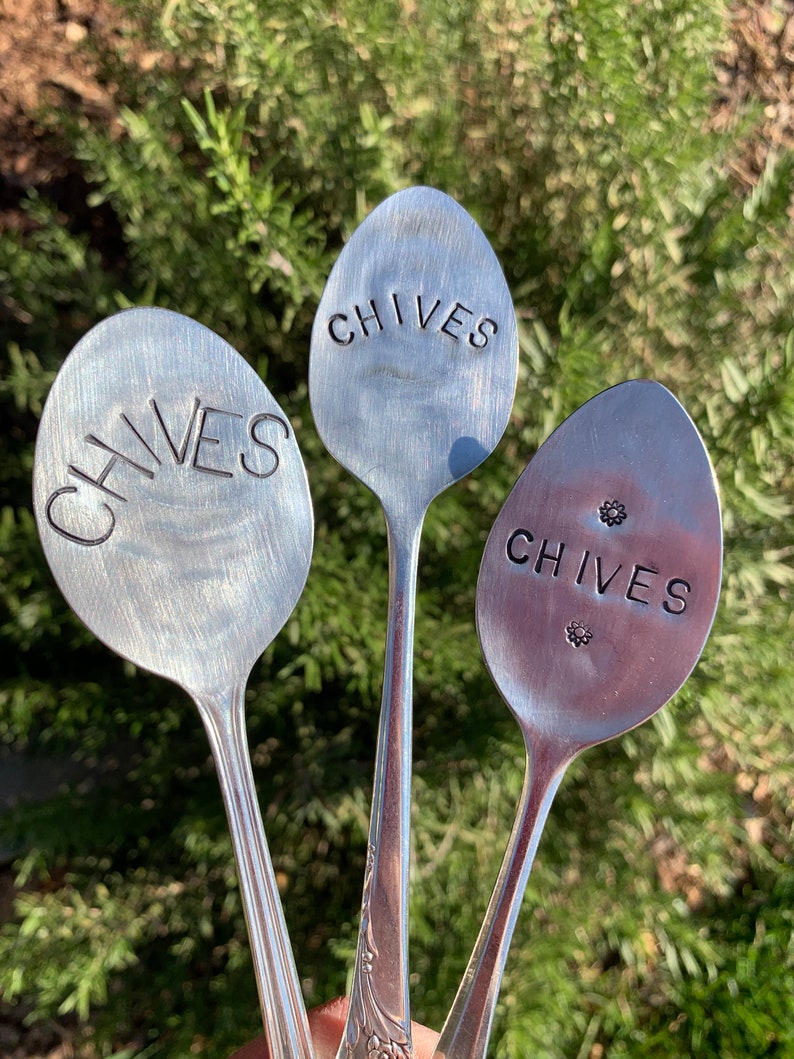 Pode incluir: Tr&ecirc;s colheres de prata com a palavra "CHIVES" gravada nelas. As colheres s&atilde;o usadas como marcadores de jardim.