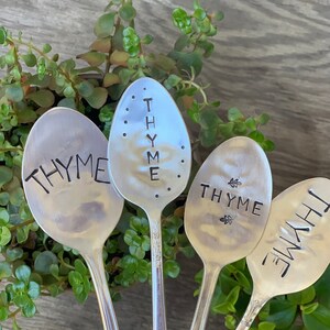 Pode incluir: Quatro colheres de prata com a palavra "THYME" gravada nelas. As colheres est&atilde;o dispostas em forma de leque e s&atilde;o cercadas por plantas verdes.