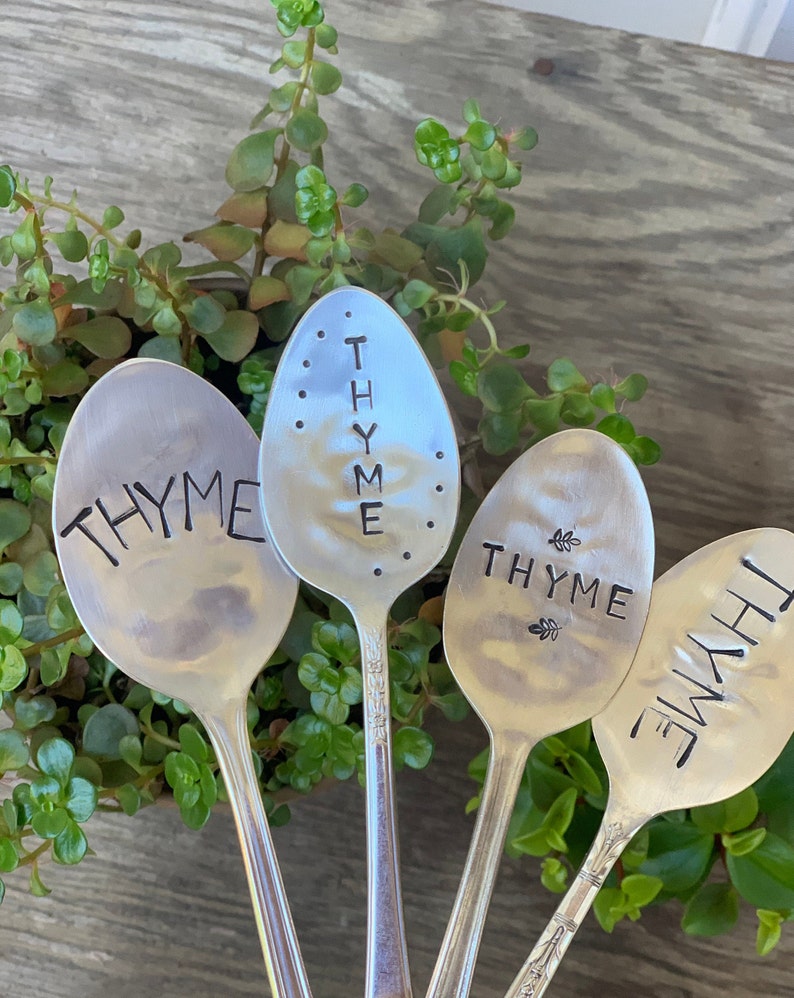 Pode incluir: Quatro colheres de prata com a palavra "THYME" gravada nelas. As colheres est&atilde;o dispostas em forma de leque e s&atilde;o cercadas por plantas verdes.