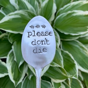 May include: A silver spoon with the words "please don't die" stamped on the spoon's head. The spoon has a decorative handle and is set against a backdrop of green and white foliage.