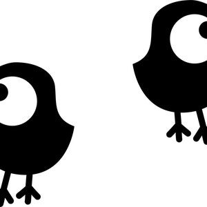Birds